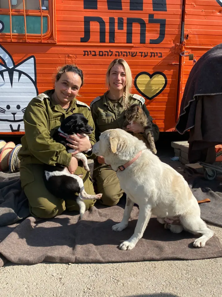חורף חם 2022