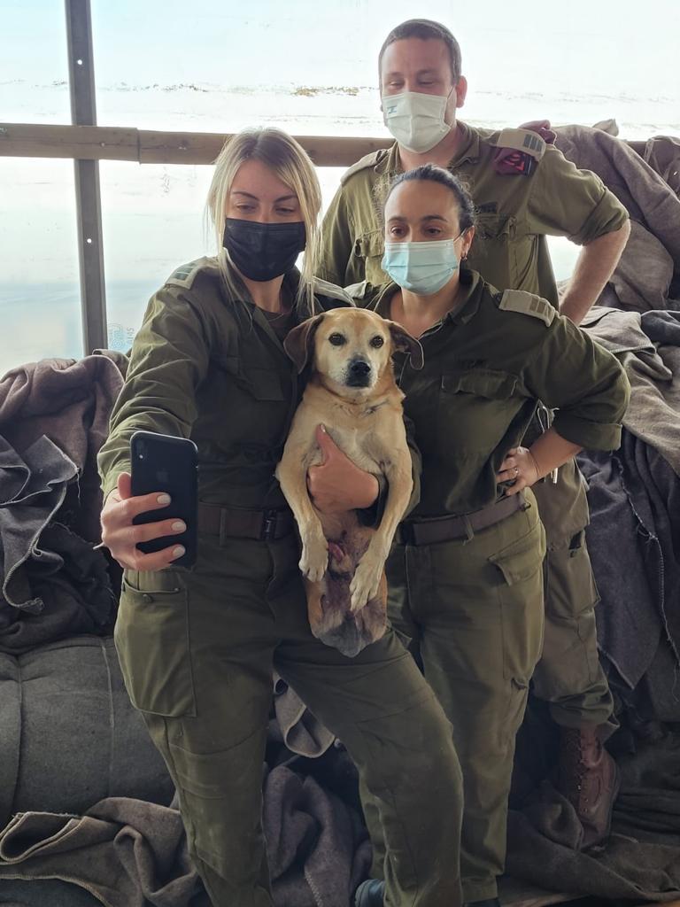 חורף חם 1